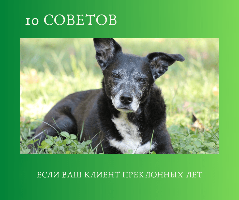 10 советов. Если ваш клиент преклонных лет